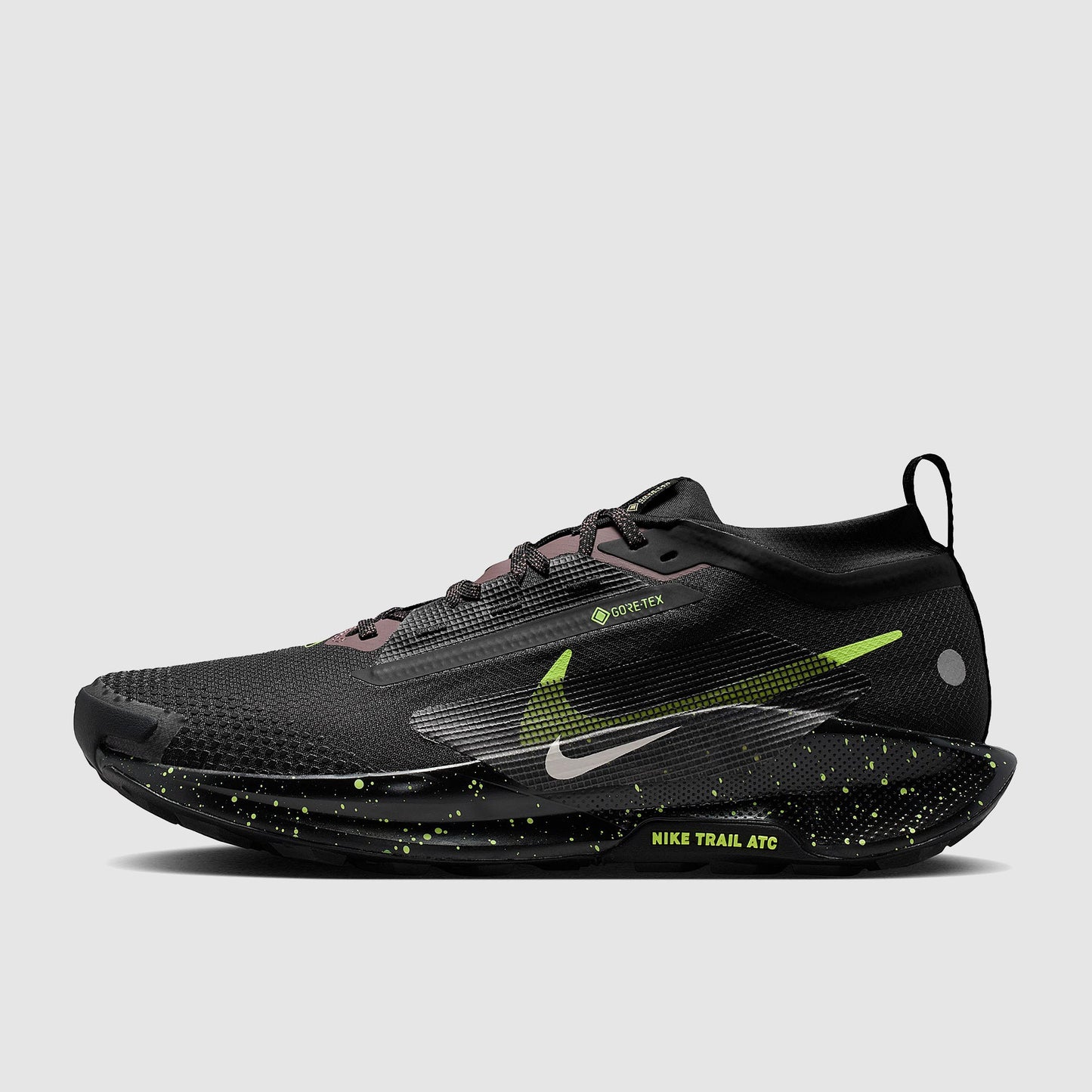 Nike Pegasus Trail 5 GORE-TEX