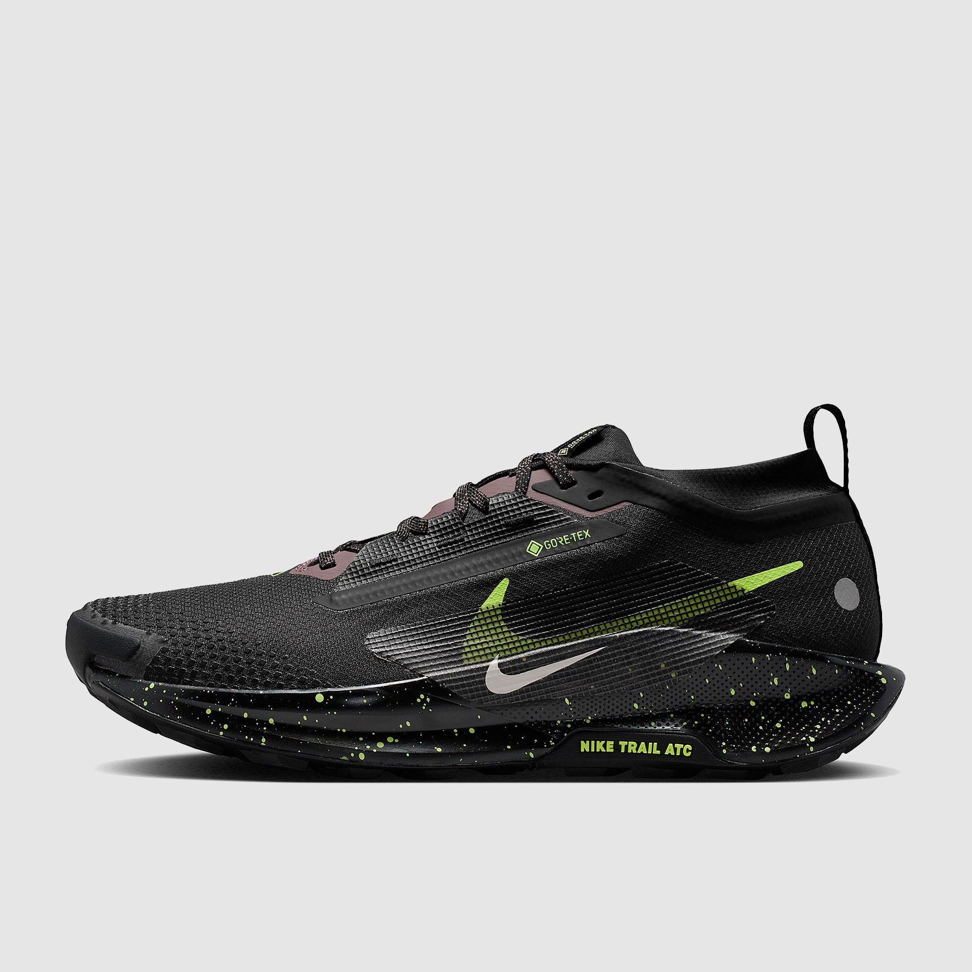 Nike Pegasus Trail 5 GORE-TEX